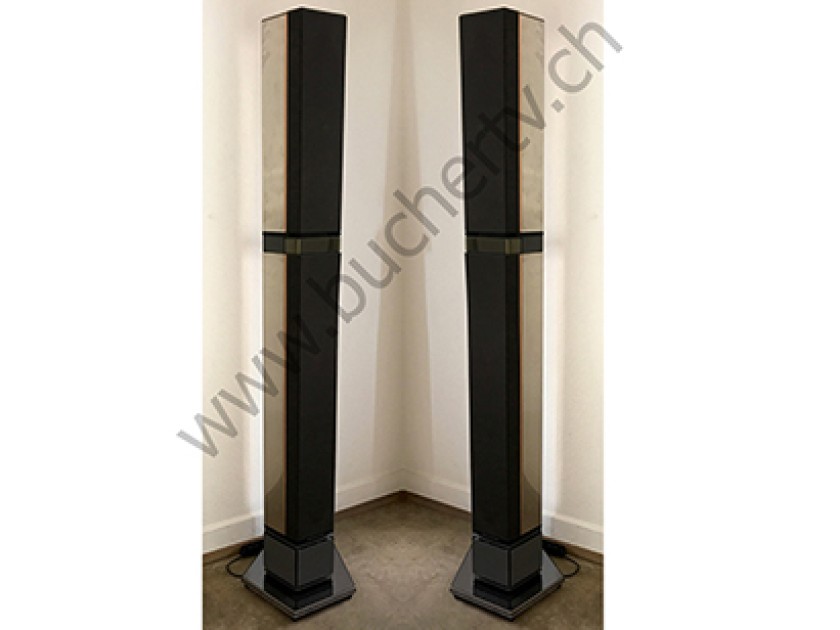 Bang & Olufsen BeoLab Penta MK3 Lautsprecher Reparatur