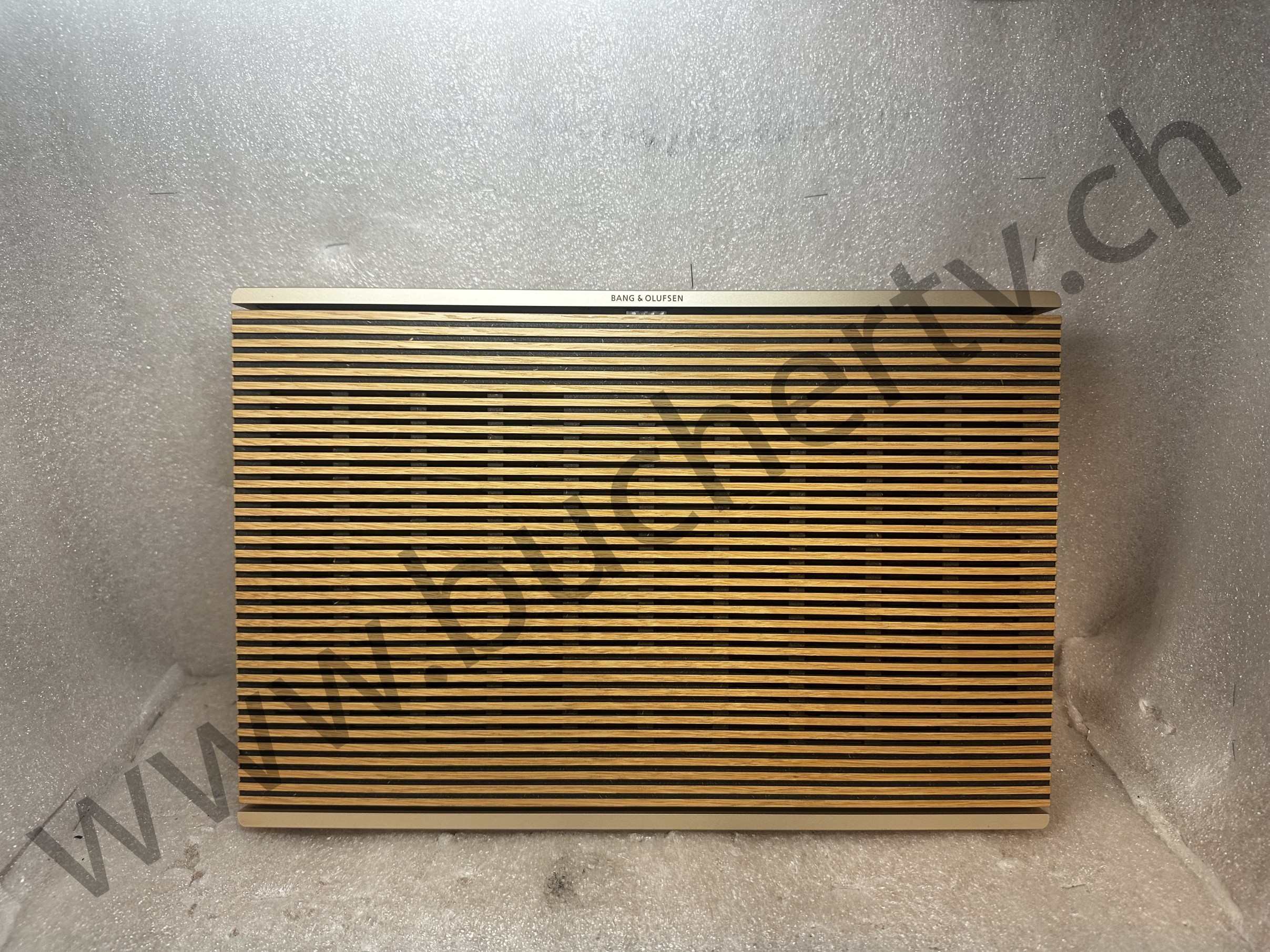 Bang & Olufsen Level Lautsprecher Reparatur