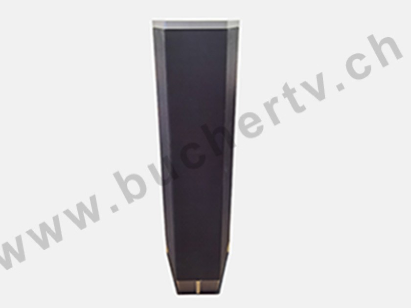 Rowen R1+1 MK II Lautsprecher Reparatur